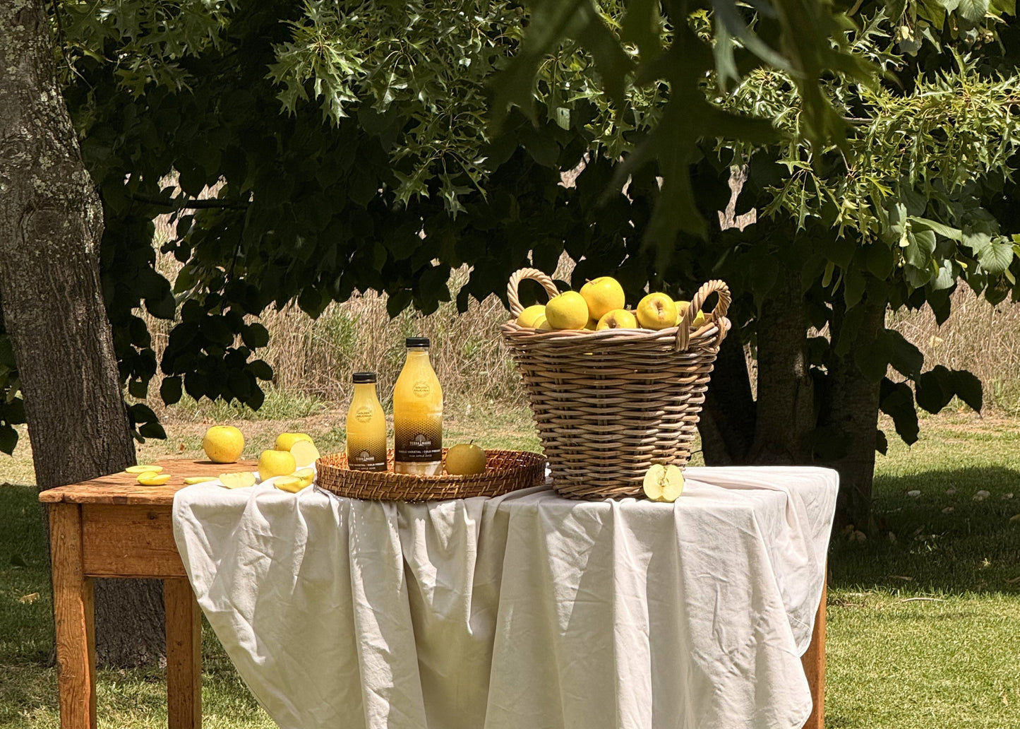 terra_madre_single_varietal_juice