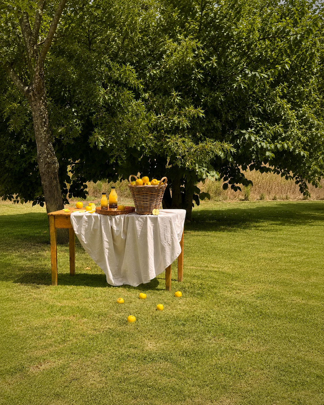 Golden Delicious Single-varietal apple juice